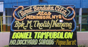 Bunga papan Lampung