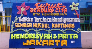 Bunga papan Lampung